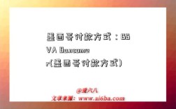 墨西哥付款方式：BBVA Bancomer(墨西哥付款方式)