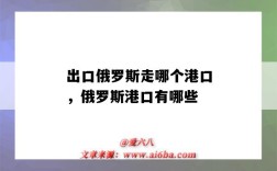 出口俄羅斯走哪個港口，俄羅斯港口有哪些（俄羅斯的港口有哪些）