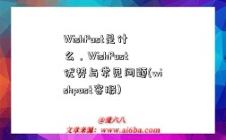 WishPost是什么，WishPost優勢與常見問題(wishpost客服)