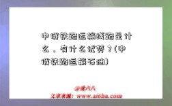 中俄鐵路運輸線路是什么，有什么優勢？(中俄鐵路運輸石油)