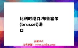 比利時港口:布魯塞爾(brussel)港口（布魯塞爾的港口）