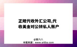 正規代收外匯公司,代收美金對公轉私人賬戶