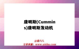 康明斯(Cummins)康明斯發動機（康明斯 發動機）