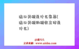 進口關稅是什么意思(進口關稅的稅收主體是什么)