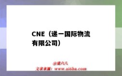 CNE（遞一國際物流有限公司）（cne遞一國際物流官網）