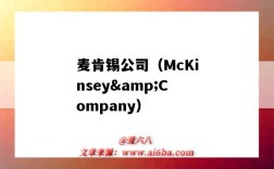 麥肯錫公司（McKinsey&Company）（麥肯錫公司愿景完整版）