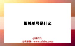 報關單號是什么（報關單號是什么意思）