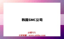 韓國SMC公司（韓國smc公司車載叉車）