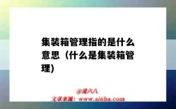 集裝箱管理指的是什么意思（什么是集裝箱管理)