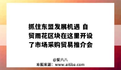 抓住東盟發展機遇 自貿雨花區塊在這里開設了市場采購貿易推介會