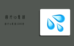 國外ip專線,國外ip專線1000兆400一年