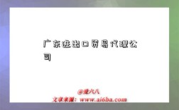 廣東進出口貿易代理公司