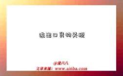 進出口貨物關稅是指什么意思（什么是進出口貨物關稅）