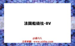 法國船級社-BV（法國船級社bv上海 怎么樣）