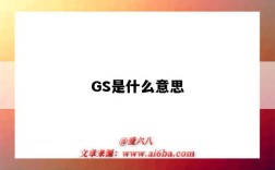 GS是什么意思（gs是什么意思醫學上）