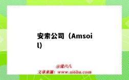 安索公司（Amsoil）（安索公司簡介）