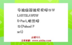 弗拉迪斯拉沃沃港口WLADYSLAWOWO-Port,波蘭港口(Poland Port)