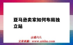 亞馬遜賣家如何布局獨立站（亞馬遜和獨立站運營思路）