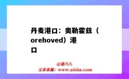 丹麥港口：奧勒霍茲（orehoved）港口（奧爾堡港口）