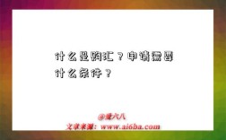 什么是購匯？申請需要什么條件？