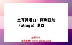 土耳其港口：阿利亞加（aliaga）港口（阿爾及利亞 港口）