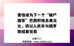 害怕成為下一個“破產國家”巴西積極去美元化，將以人民幣與俄羅斯結算貿易