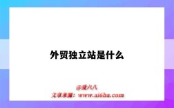 外貿獨立站是什么（外貿獨立站是什么意思）