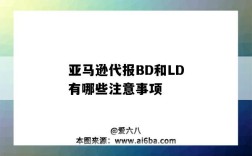 亞馬遜代報BD和LD有哪些注意事項（亞馬遜ld和bd是什么意思）