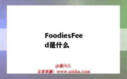 FoodiesFeed是什么（FOODIESFEED）