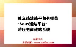 獨立站建站平臺有哪些-Saas建站平臺-跨境電商建站系統（國內建站平臺有哪些）