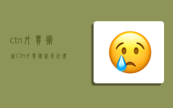 ctn外貿術語,CTN外貿術語是什么意思