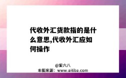 代收外匯貨款指的是什么意思,代收外匯應如何操作