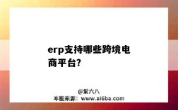 erp支持哪些跨境電商平臺？