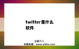 twitter是什么軟件（twitter是什么軟件 我們能用嗎?）