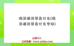 海關報關單是什么(海關報關單是什么字體)