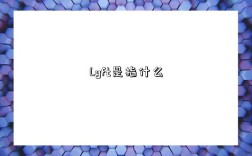 Lyft是指什么