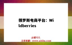 俄羅斯電商平臺：Wildberries（俄羅斯電商平臺ozon入駐條件）