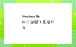 Western Union（西聯）是指什么