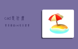 cad是什么貿易術語,cad是什么貿易方式