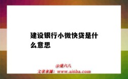 建設銀行小微快貸是什么意思（建行里的小微快貸是什么意思）