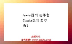 Jumia是什么平臺(jumia是什么平臺)