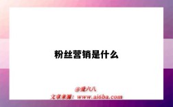 粉絲營銷是什么（粉絲營銷是什么意思）