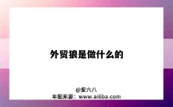 外貿狼是做什么的（外貿狼怎么樣）