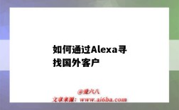 如何通過Alexa尋找國外客戶（alexa在國內怎么用）