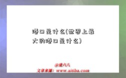 港口是什么(世界上最大的港口是什么)