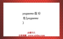 payoneer是什么(payoneer)