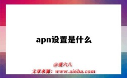 apn設置是什么（apn設置是什么意思）