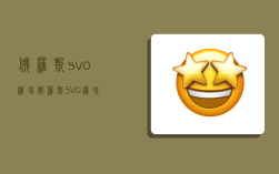 俄羅斯svo機場,俄羅斯SVO機場