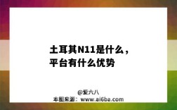 土耳其N11是什么，平臺有什么優勢