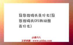 集裝箱碼頭是什么(集裝箱碼頭CFS的功能是什么)